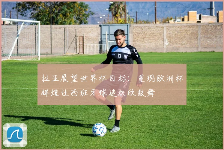 拉亚展望世界杯目标：重现欧洲杯辉煌让西班牙球迷欢欣鼓舞